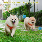 Natural rubber and felt texture of Magicorange dog balls