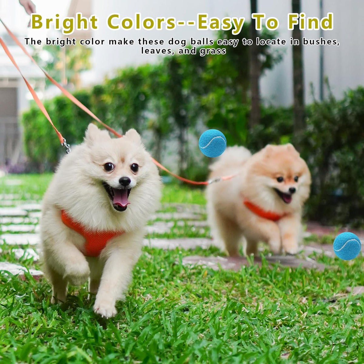 Natural rubber and felt texture of Magicorange dog balls