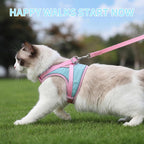 Pink escape proof cat vest harness back ring detail