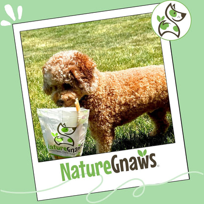 Nature Gnaws Beef Tendons Dog Chews healthy teething treats for puppies