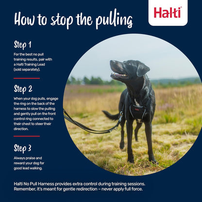 Halti no pull harness front control ring detail