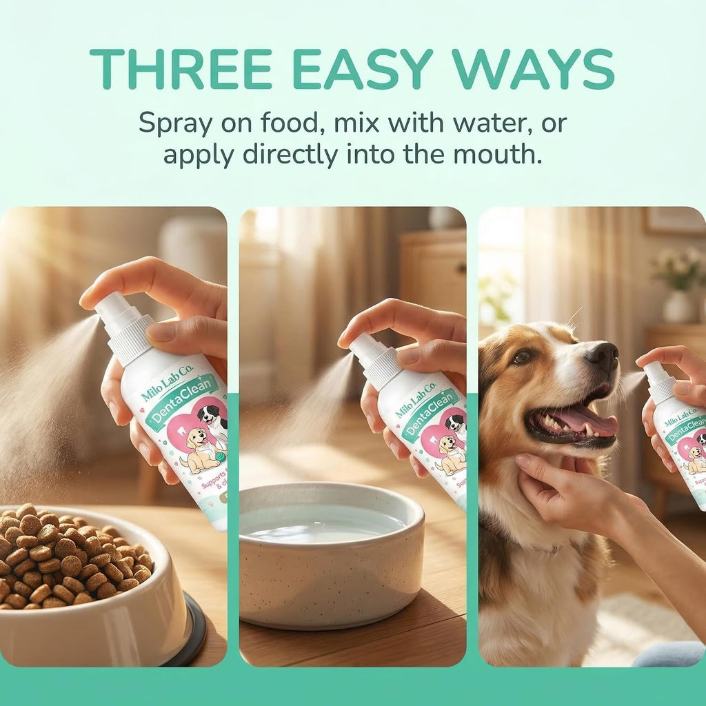 Enzymatic canine dental spray for plaque control close up