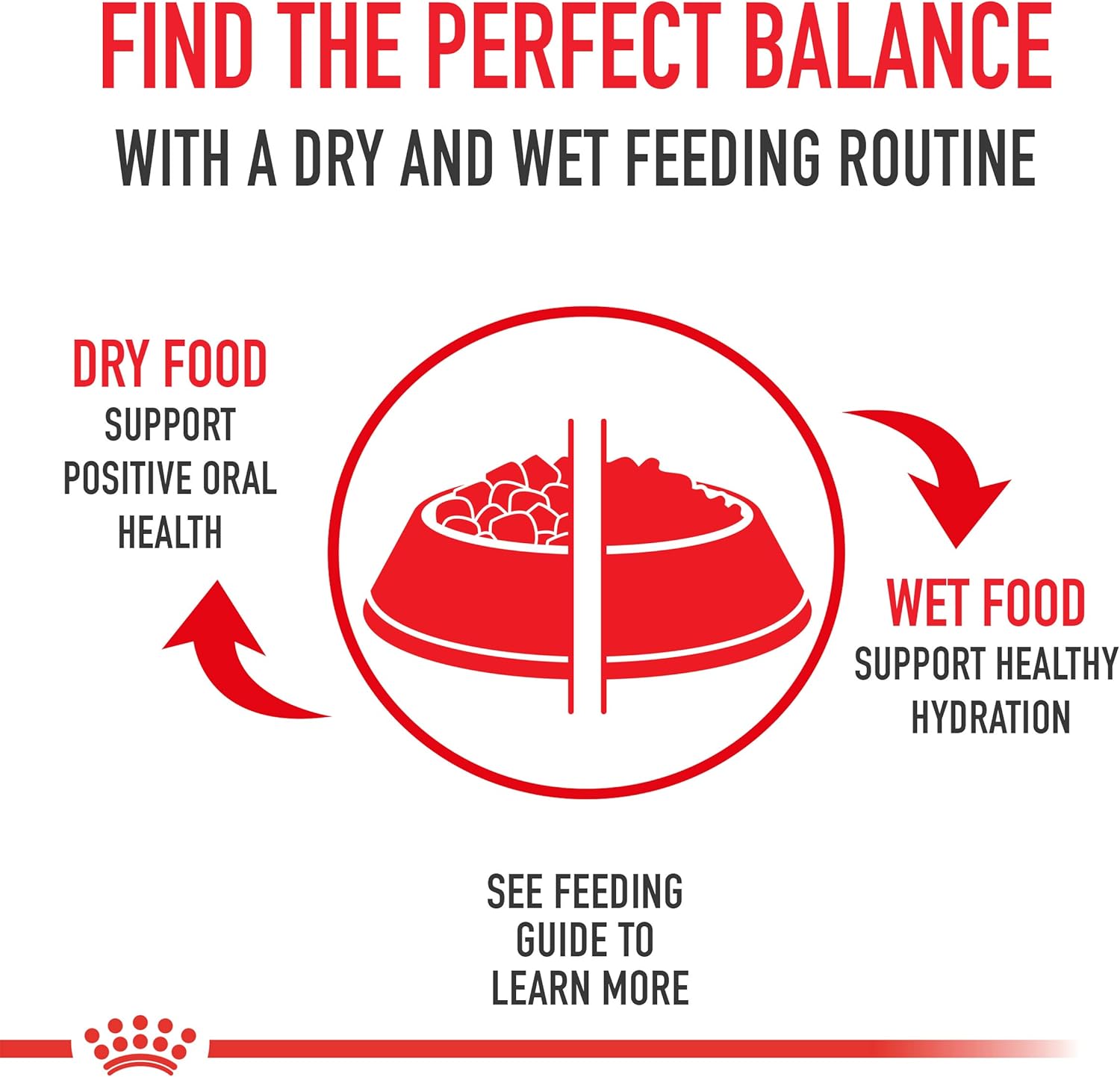 Royal Canin Veterinary Diet Canine Small Dental Adult Dry Dog Food, 8.8 lb Bag - Image 12
