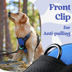 Breathable air mesh padded pet vest texture close up shot