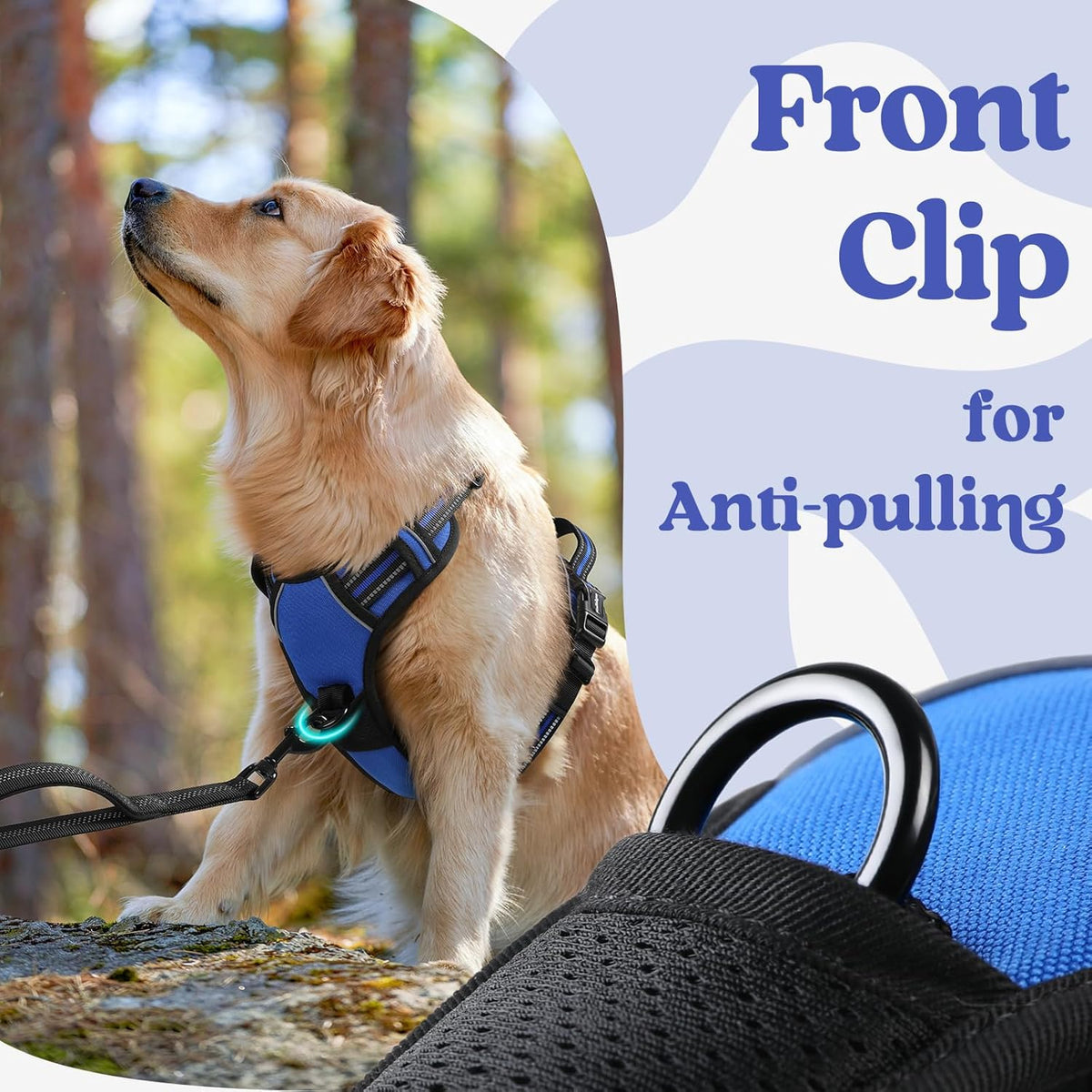 Breathable air mesh padded pet vest texture close up shot