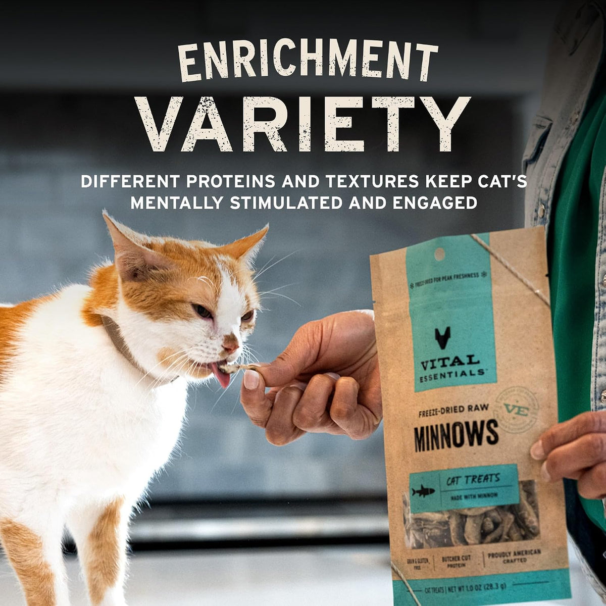 Authentic USA imported Vital Essentials cat treats 4 ounce bag