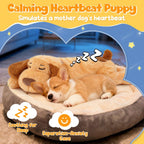 Silicone dog lick mats with suction cups