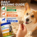 Infographic showing the 3-in-1 probiotic prebiotic and digestive enzyme benefits of OurCares pet chews.