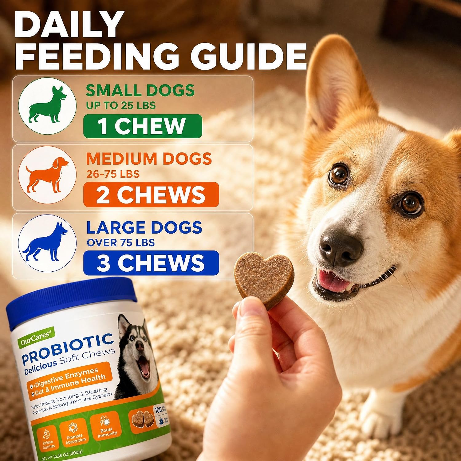 Infographic showing the 3-in-1 probiotic prebiotic and digestive enzyme benefits of OurCares pet chews.