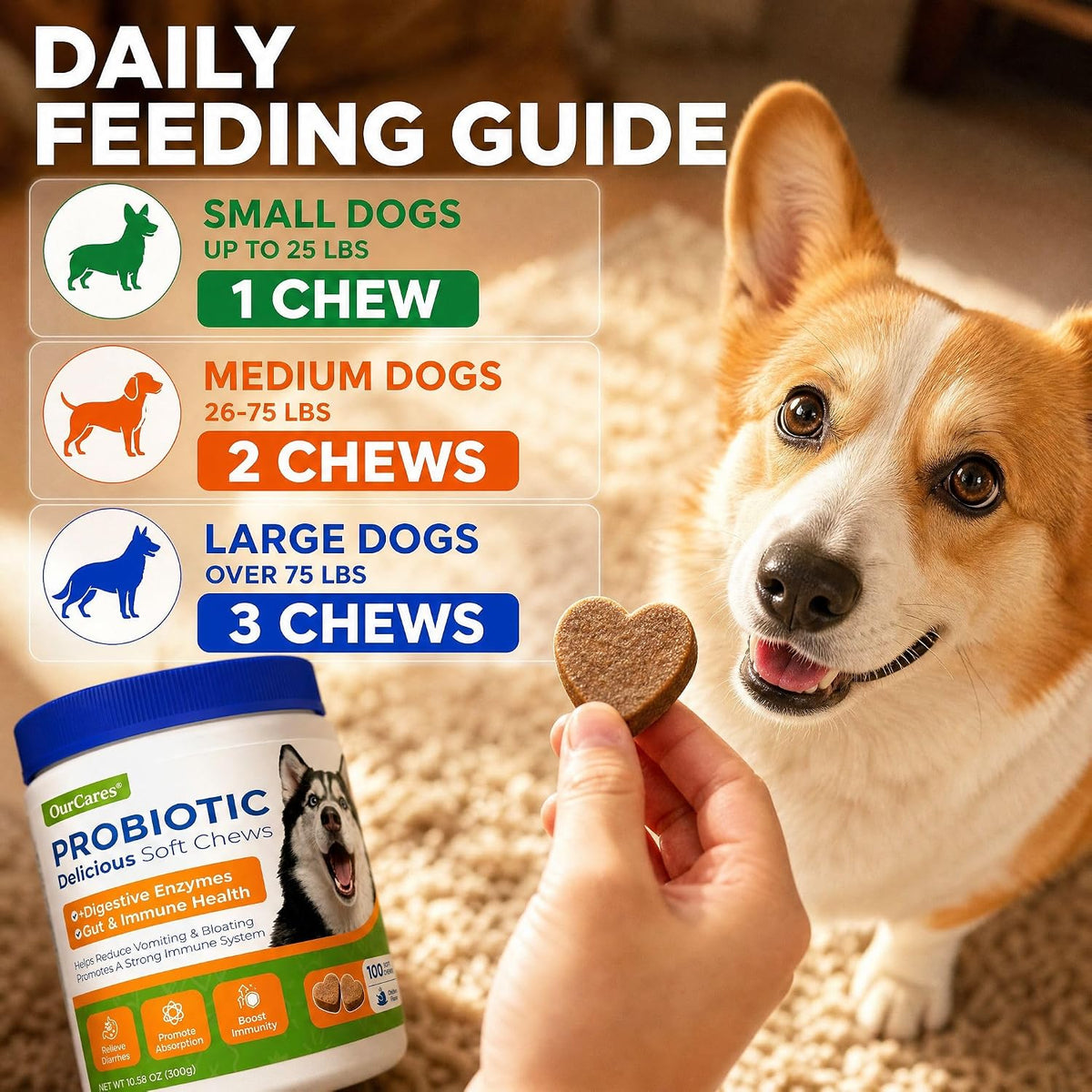 Infographic showing the 3-in-1 probiotic prebiotic and digestive enzyme benefits of OurCares pet chews.