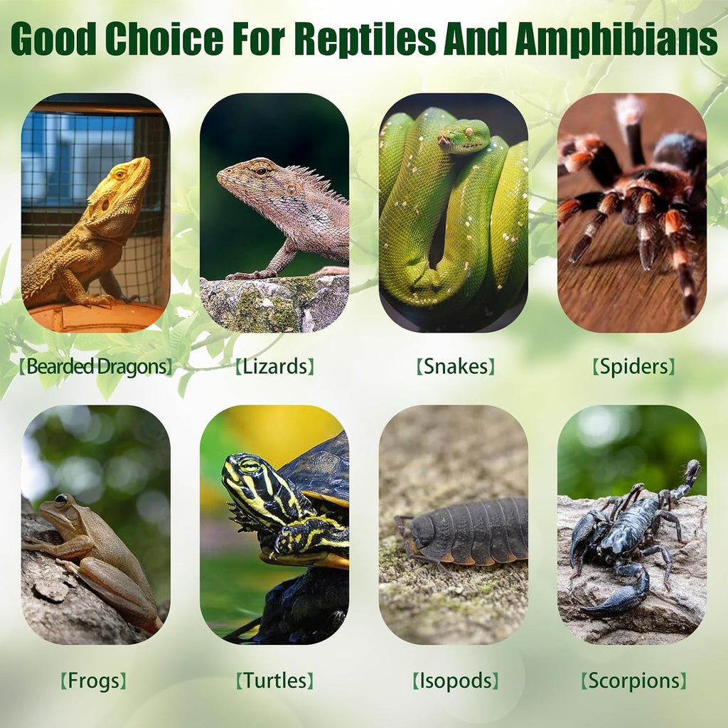 Natural terrarium climbing accessory bark for spiders and geckos