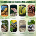 Natural terrarium climbing accessory bark for spiders and geckos