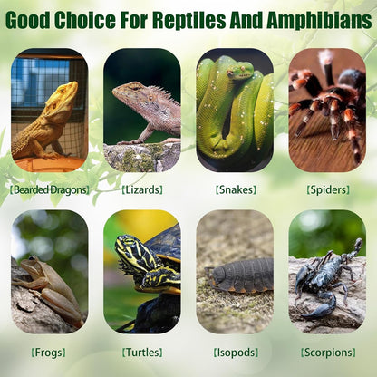 Natural terrarium climbing accessory bark for spiders and geckos