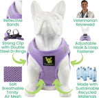 Small puppy wearing lavender XXXS harness