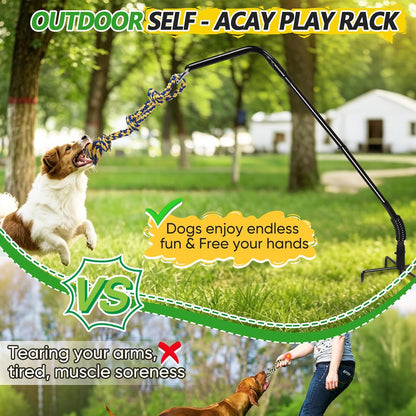HVDI adjustable dog exerciser rack installed securely in a backyard lawn with a large breed dog playing
