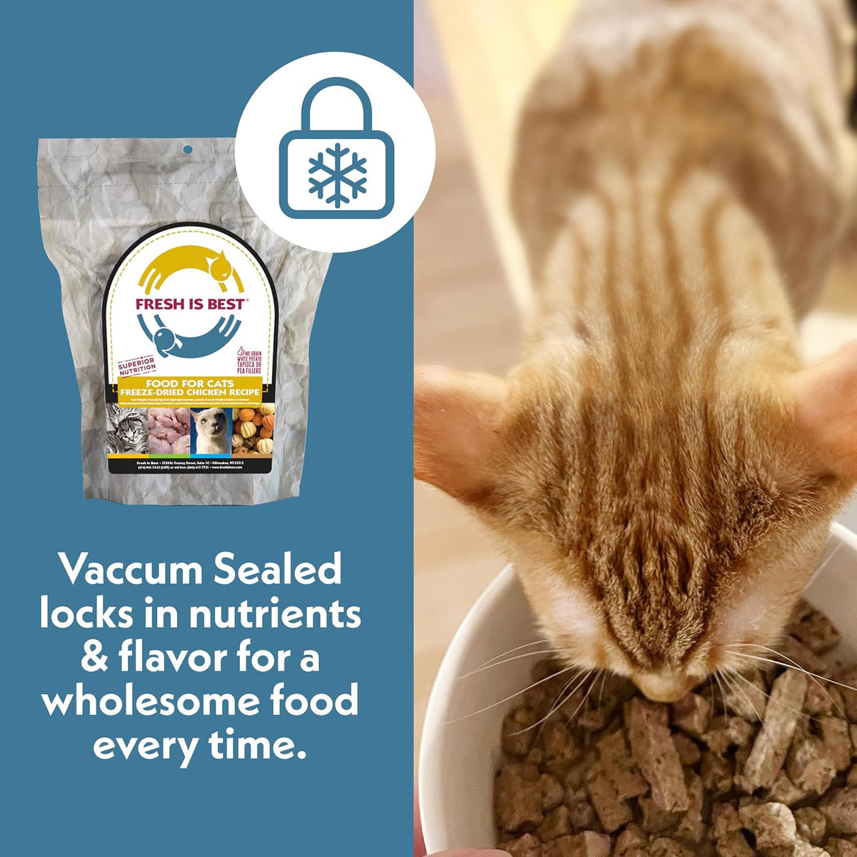 Fresh Is Best high protein cat food lifestyle presentation