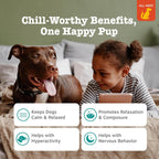 Zesty Paws dog calming soft chews texture close up showing square shape