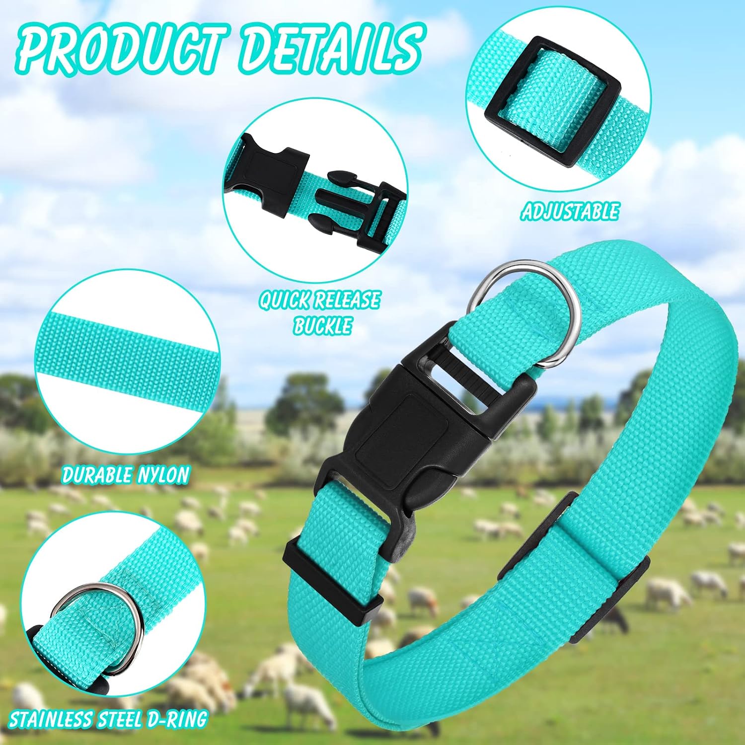 Demonstration of the quick release safety buckle on the Patelai small farm animal nylon collar.