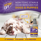 Urine Off dog urine smell remover being sprayed on living room rug