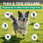 Yotango waterproof dog flea collar packaging