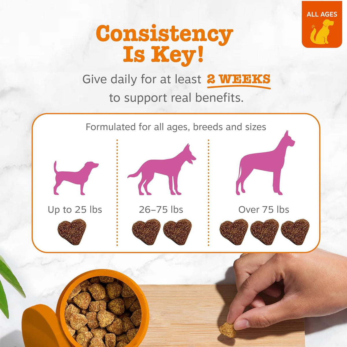 Nutritional panel view of Zesty Paws dog hip and joint supplement