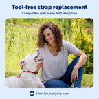 PetSafe 3/4 inch strap with quick release buckle