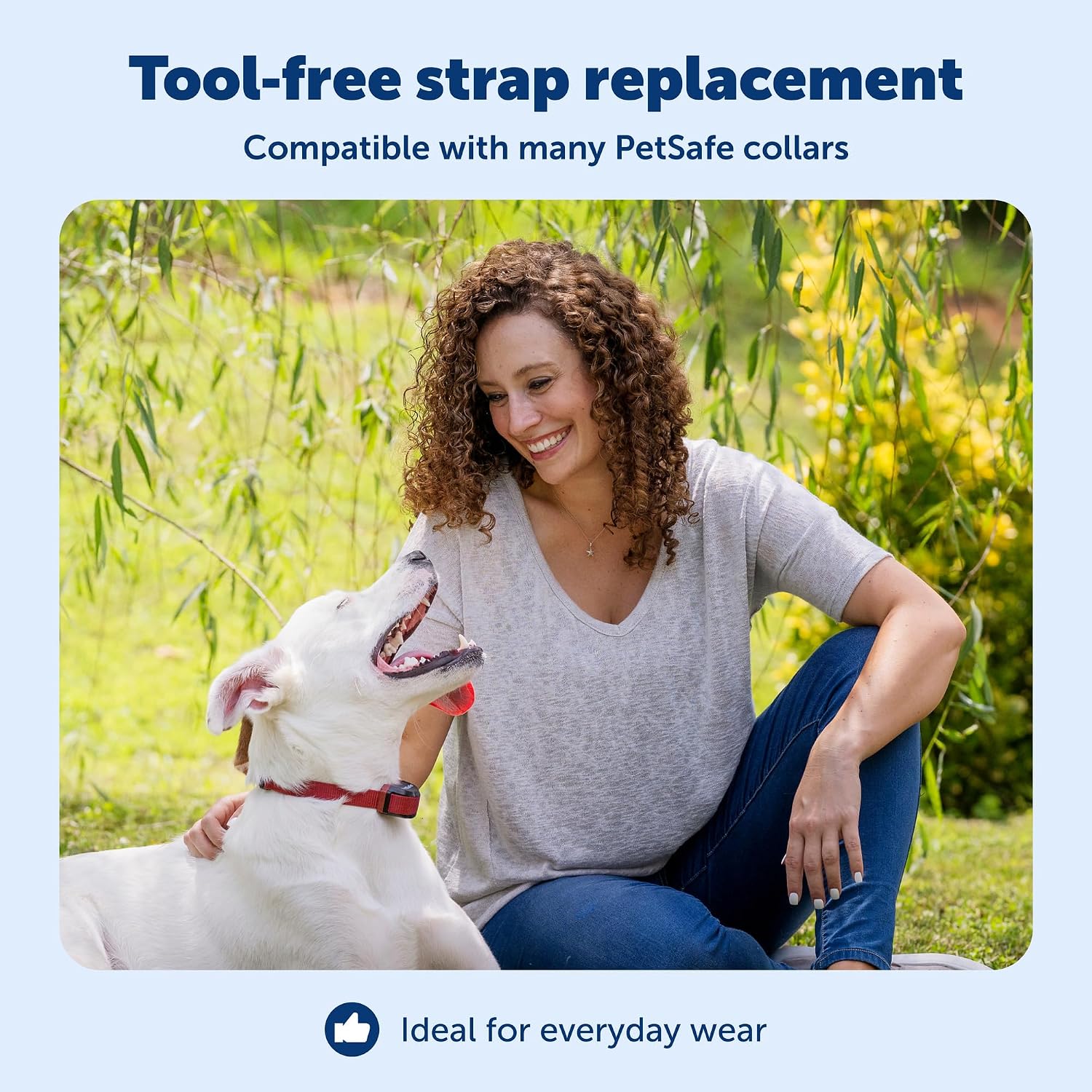 PetSafe 3/4 inch strap with quick release buckle