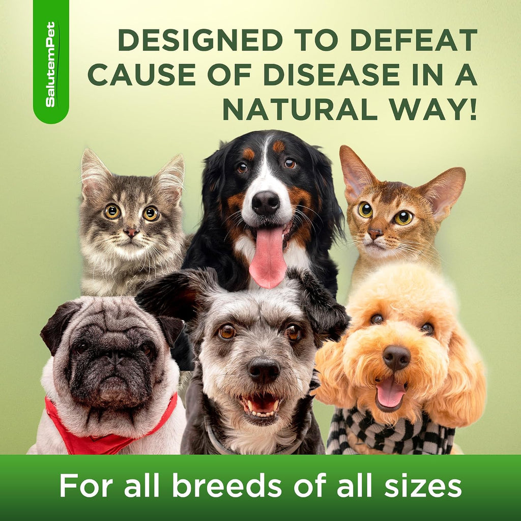 SalutemPet natural respiratory support packaging and bottle