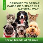 SalutemPet natural respiratory support packaging and bottle