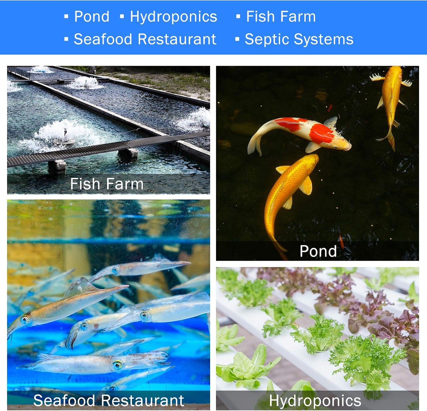 Industrial air pump for fish farm and aquaculture use