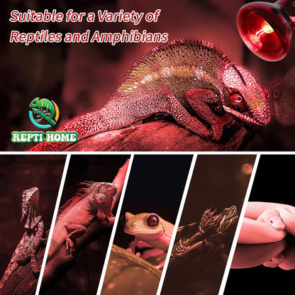 REPTI HOME 50 Watt reptile nighttime heat lamp for amphibian enclosures.