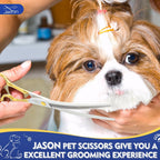 Ergonomic gold plated handle on JASON professional pet grooming scissors