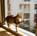 HomyPower Cat Balcony Netting 10x13ft full view with heavy-duty mesh texture