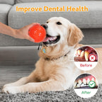 Puppy teething with durable Petizer squeaky toy