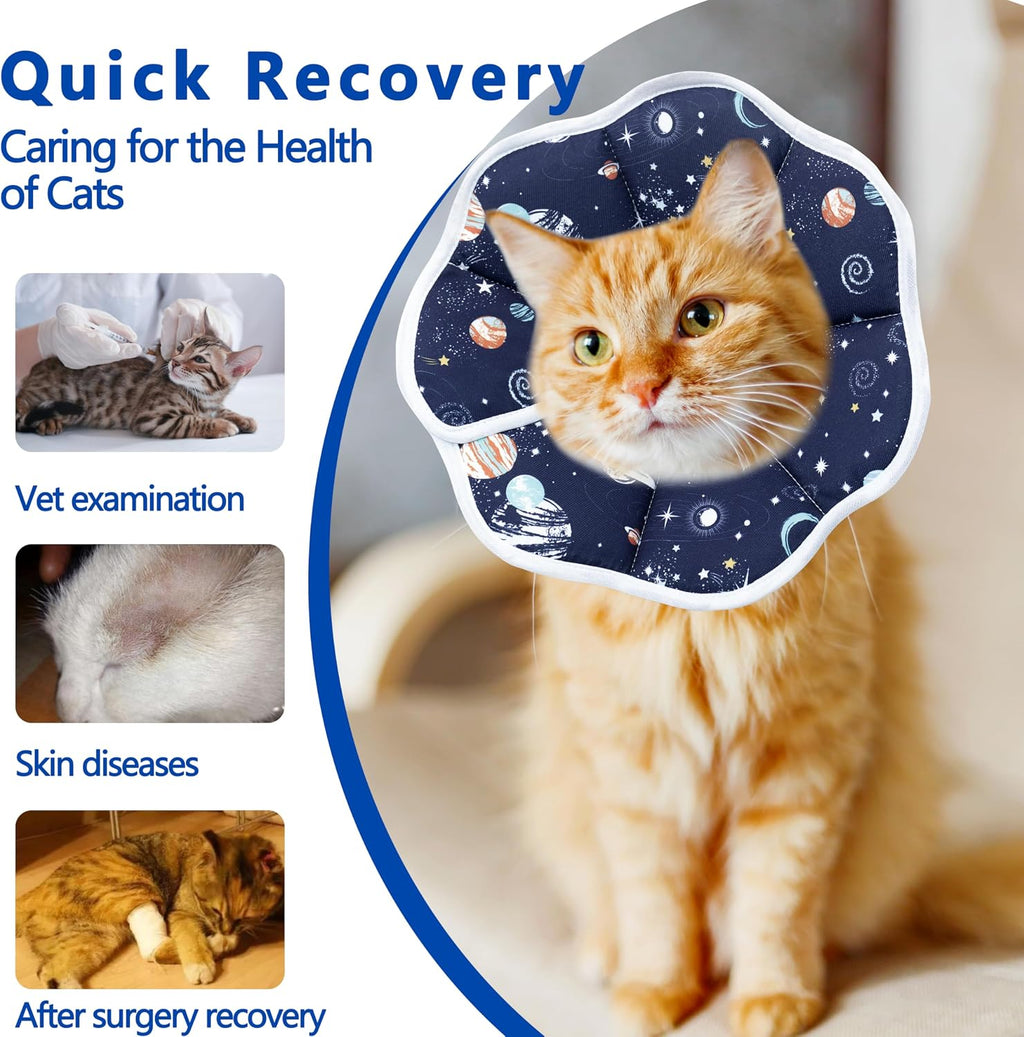 Soft cat recovery cone being wiped clean with a towel demonstrating easy maintenance