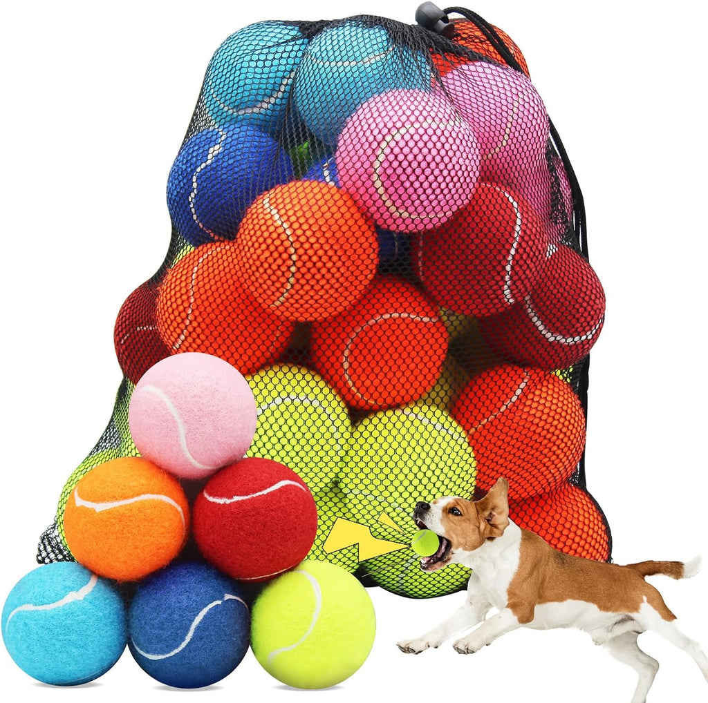 Swingers Squeaky Tennis Balls for Dogs,2.5 inch Training Tennis Balls,Exercise Ball for Pet Dog with Mesh Carry Bag Easy to Transport (Multicolor, 6 Pack) - Image 12
