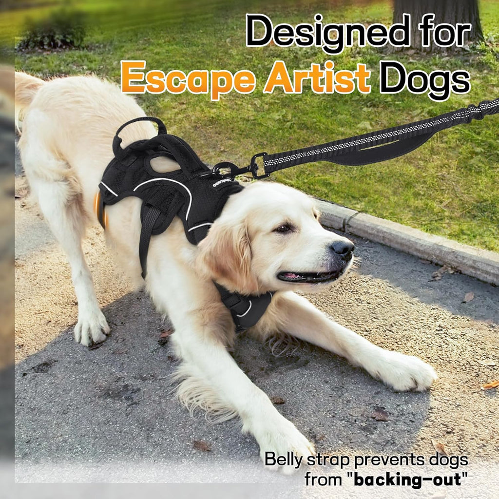 Side profile of rabbitgoo dog harness with lifting handle