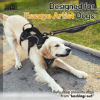 Side profile of rabbitgoo dog harness with lifting handle