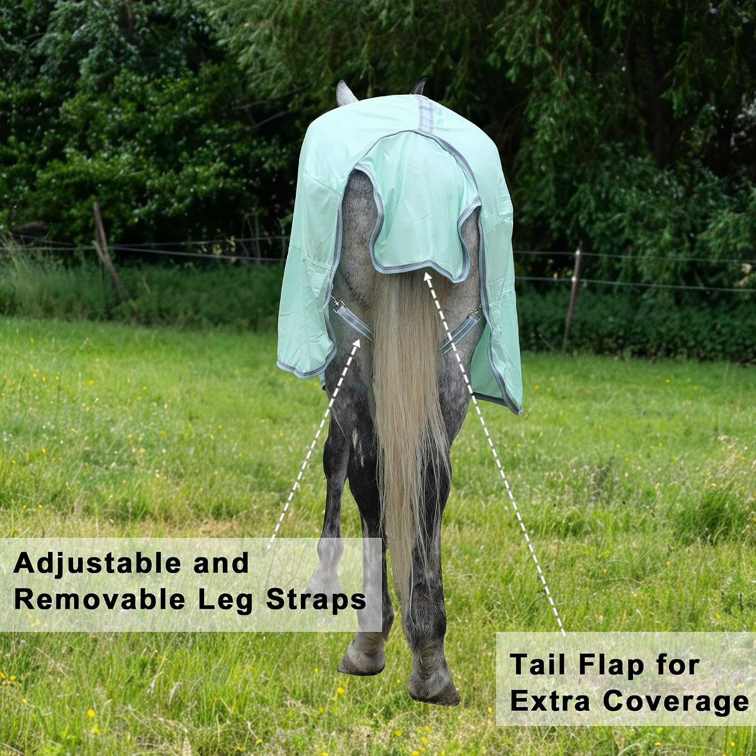 TARFEPA bug mosquito protection equine sheet overview in a pasture setting