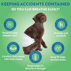 Side view of the adjustable fur-friendly fasteners on the OUT! male dog wrap