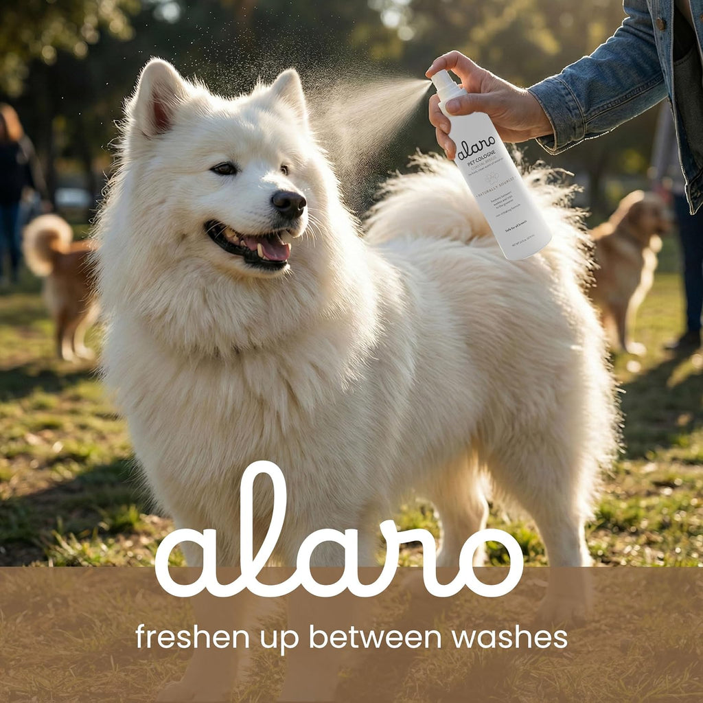 Premium non irritating dog perfume spray bottle for grooming maintenance