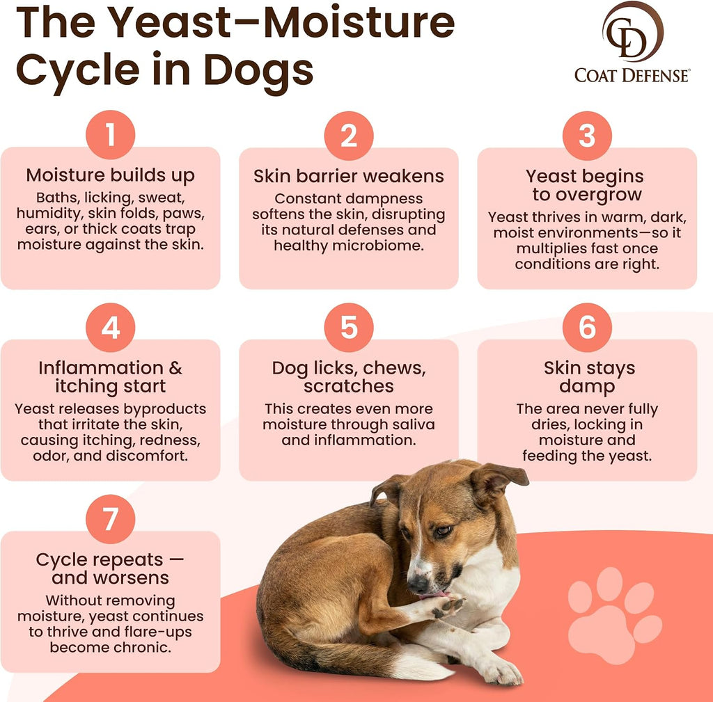 Coat Defense daily preventative powder for dog yeast treatment
