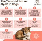 Coat Defense daily preventative powder for dog yeast treatment