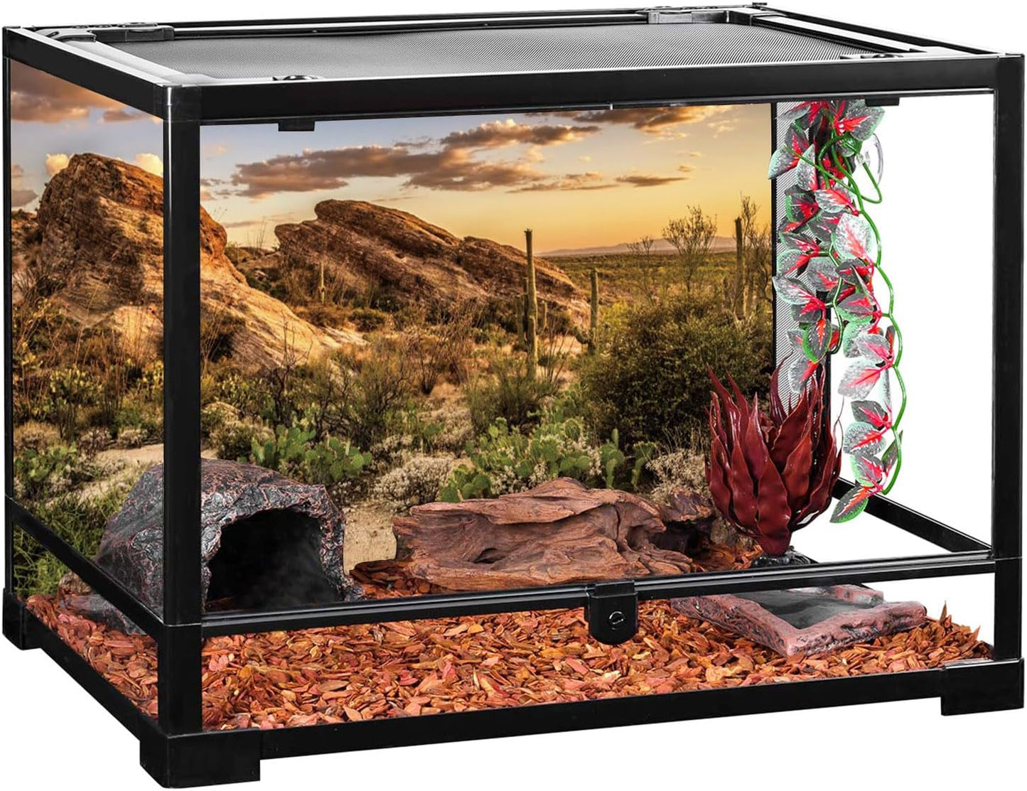 Saguaro cactus desert scene vivarium backdrop print with mounting tape.