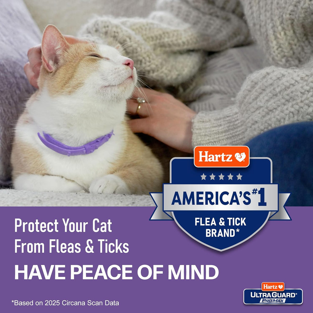Hartz UltraGuard ProMax Flea & Tick Collar for Cats & Kittens I 14 Months Protection I Soft & Comfortable | Kills Fleas, Ticks, and Larvae I 2 Pack - Image 9