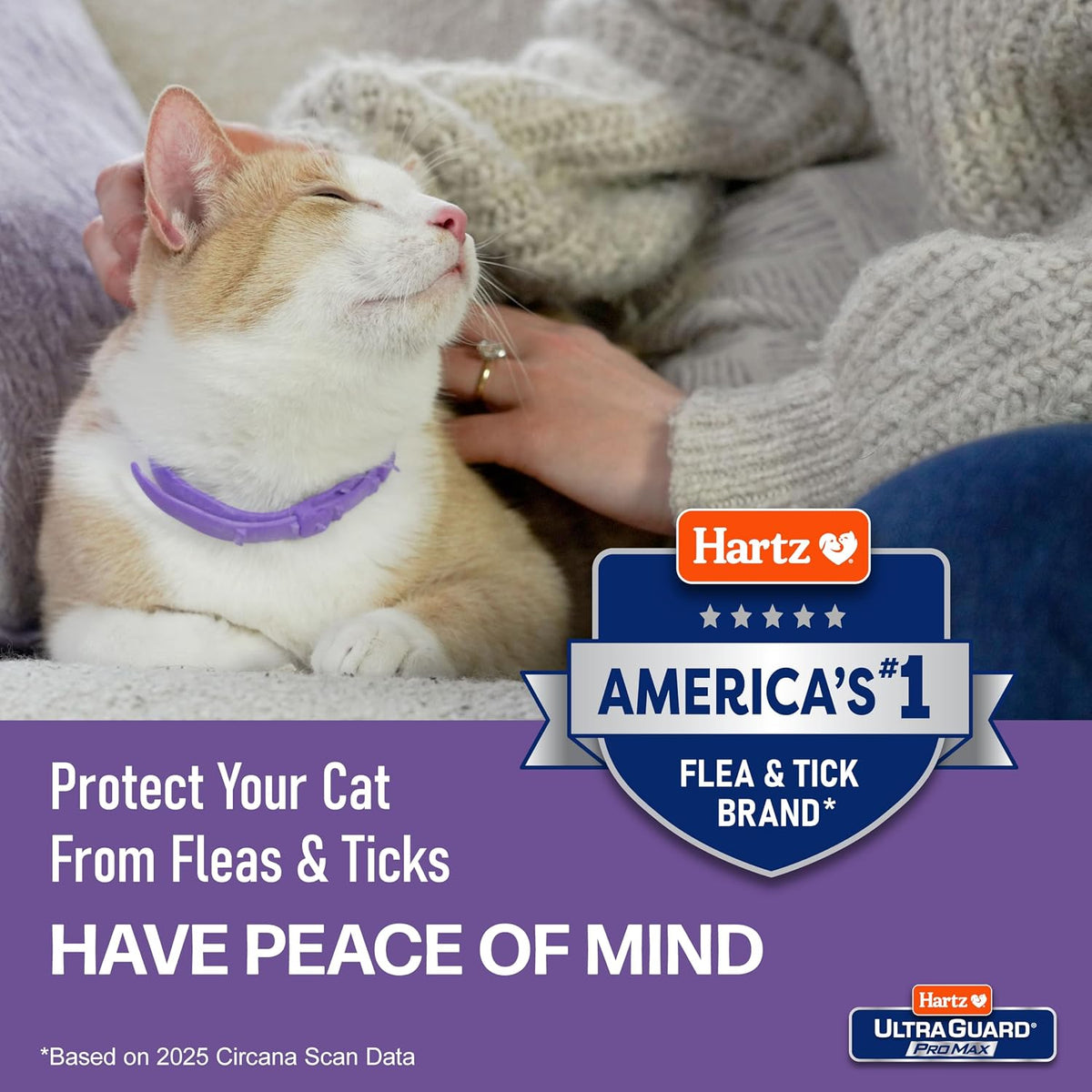 Hartz UltraGuard ProMax Flea & Tick Collar for Cats & Kittens I 14 Months Protection I Soft & Comfortable | Kills Fleas, Ticks, and Larvae I 2 Pack - Image 9