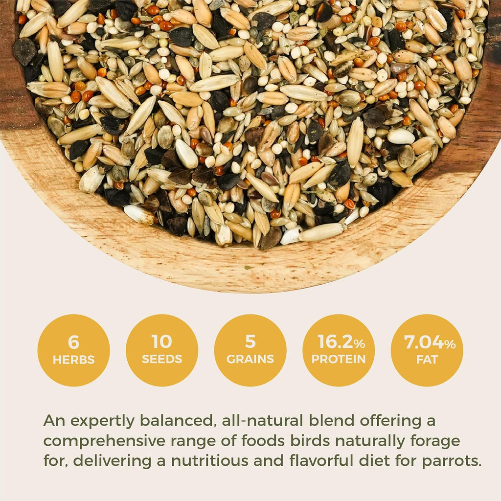 Premium Parrot Food| Protein-Rich Low-Fat Formula | Cockatiel, Conure, Lovebird, Quaker, Parrotlet | No Corn, Soy, Peanuts | Gourmet Whole Grains & Seeds | Daily Maintenance Blend (1 lb) - Image 3