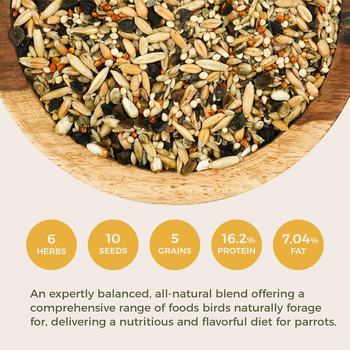 Premium Parrot Food| Protein-Rich Low-Fat Formula | Cockatiel, Conure, Lovebird, Quaker, Parrotlet | No Corn, Soy, Peanuts | Gourmet Whole Grains & Seeds | Daily Maintenance Blend (1 lb) - Image 3