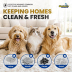 Professional grade Sheiner's cleaner for upholstery and home surfaces