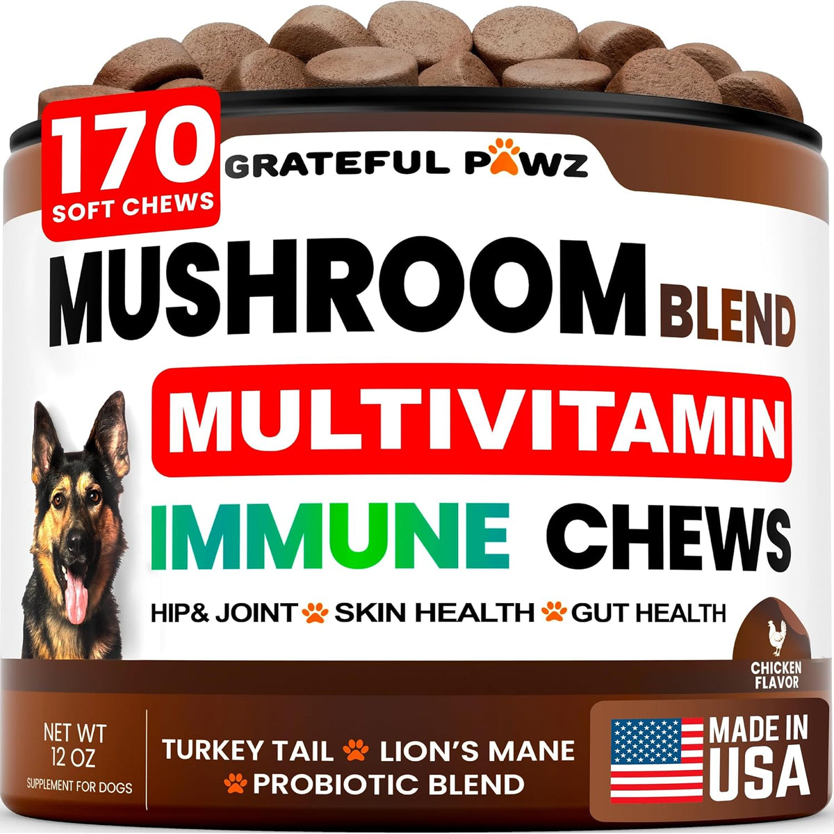 Vet Promise Turkey Tail Mushroom Supplement for Dogs front packaging view showing 170 soft chews container